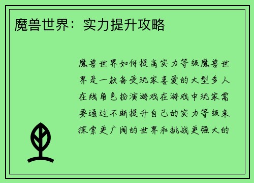 魔兽世界：实力提升攻略